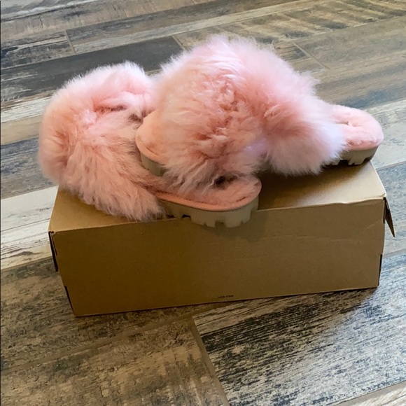 NIB UGG fuzzalicious sipper - Picture 6 of 11